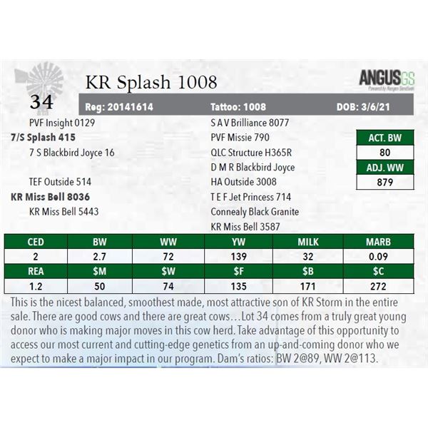 KR Splash 1008