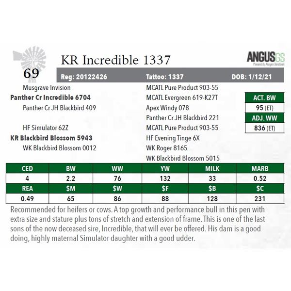 KR Incredible 1337