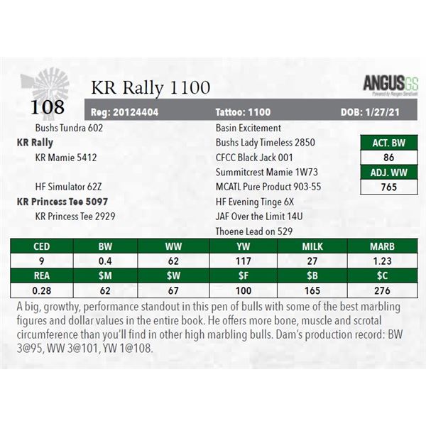 KR Rally 1100