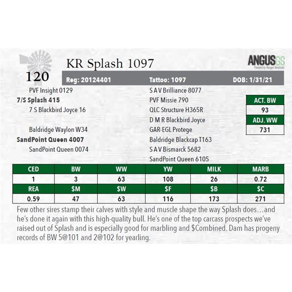 KR Splash 1097