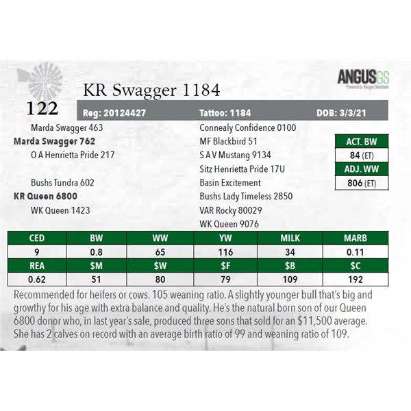 KR Swagger 1184