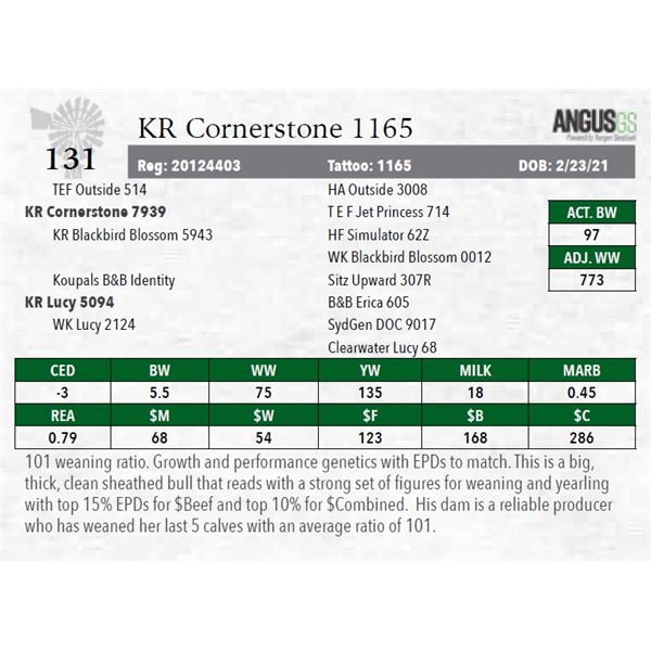 KR Cornerstone 1165