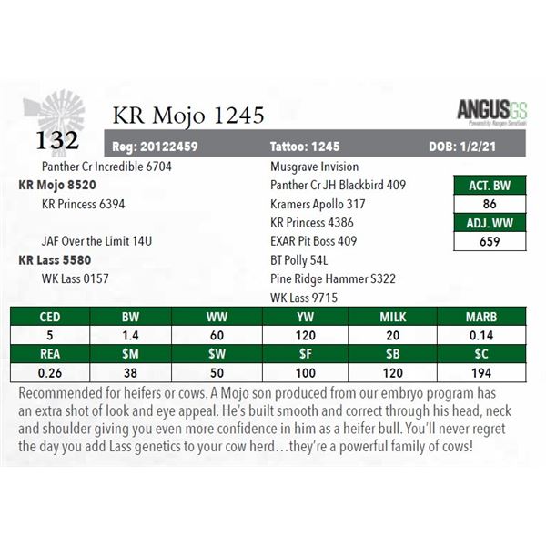 KR Mojo 1245