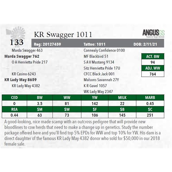 KR Swagger 1011