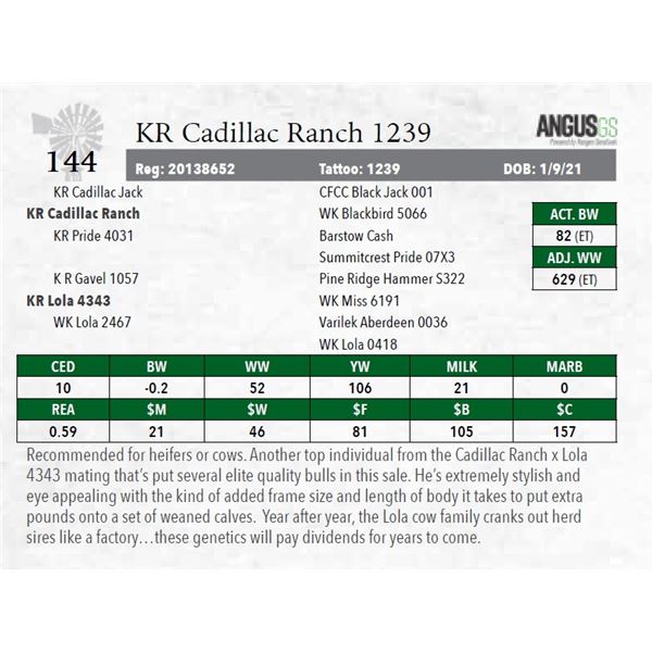 KR Cadillac Ranch 1239