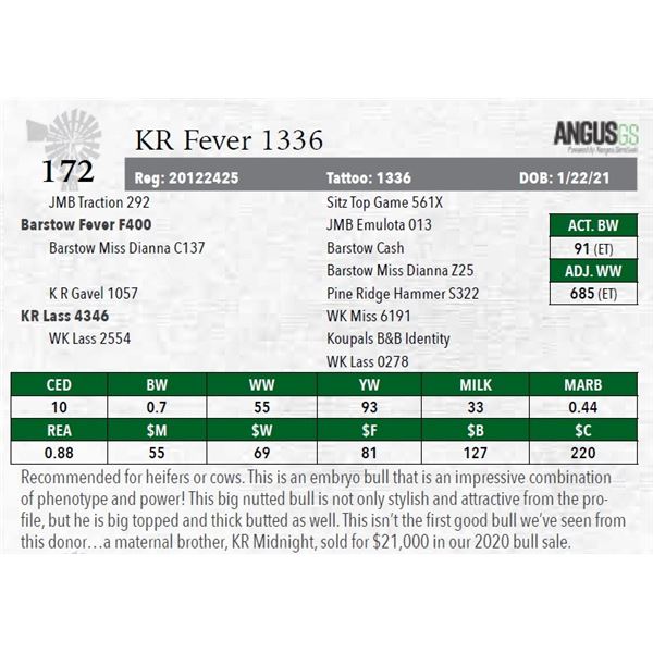 KR Fever 1336