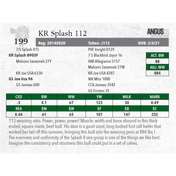 KR Splash 112