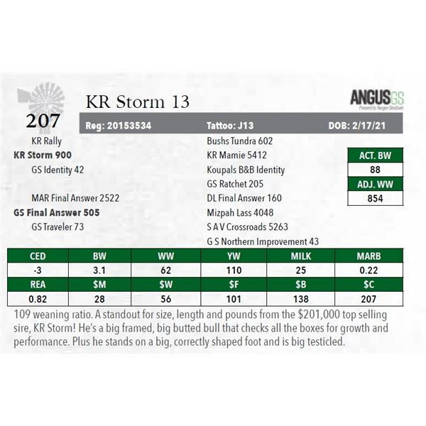 KR Storm 13