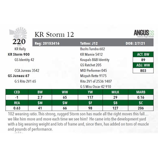 KR Storm 12