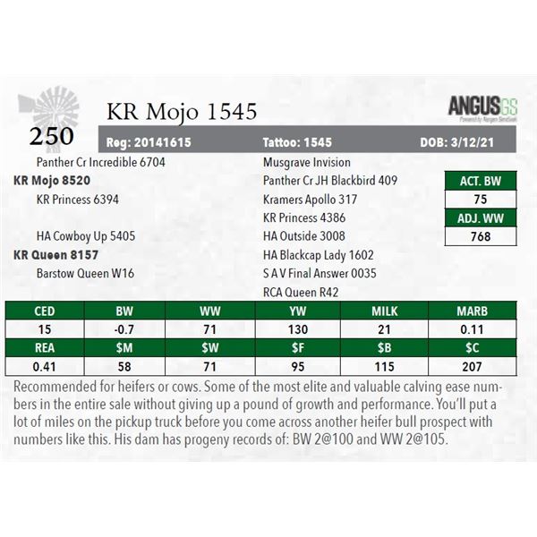 KR Mojo 1545