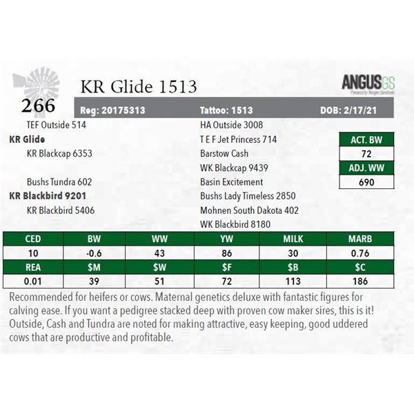 KR Glide 1513