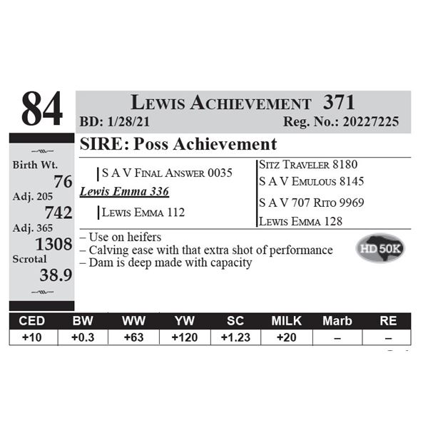 Lewis Achievement 371