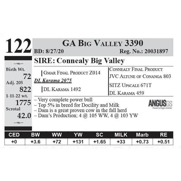 GA Big Valley 3390