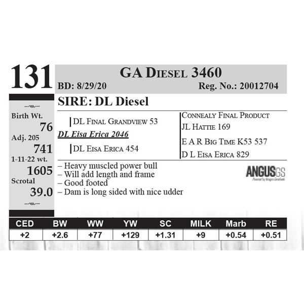 GA Diesel 3460