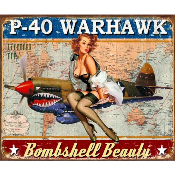 P-40 Warhawk Metal Pub Bar Sign