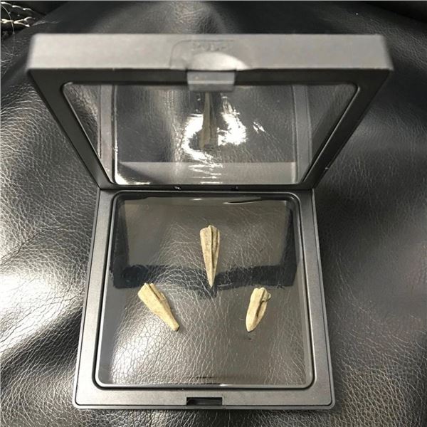 Ancient Greek / Scythian Arrowheads, Artifacts