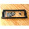 Image 1 : Rare Prehisotric Trilobite Fossils Display
