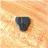 Image 4 : Rare Prehisotric Trilobite Fossils Display