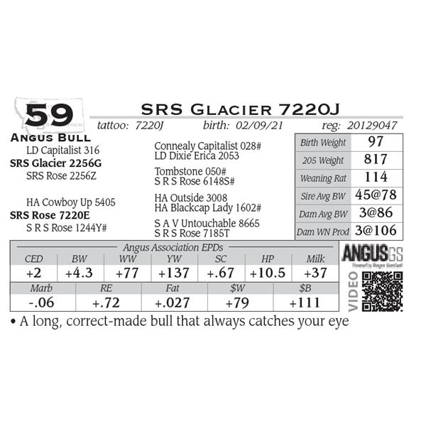 SRS Glacier 7220J