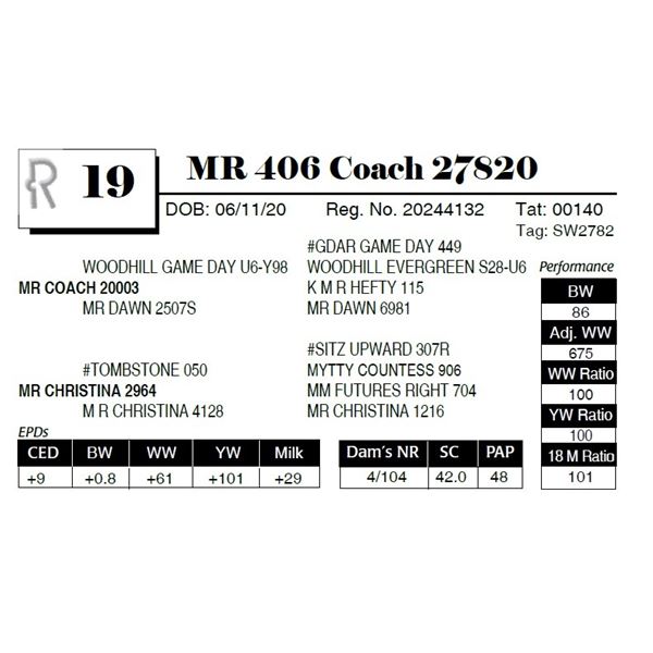 MR 406 Coach 27820