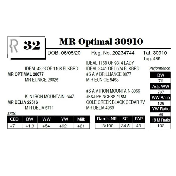 MR Optimal 30910