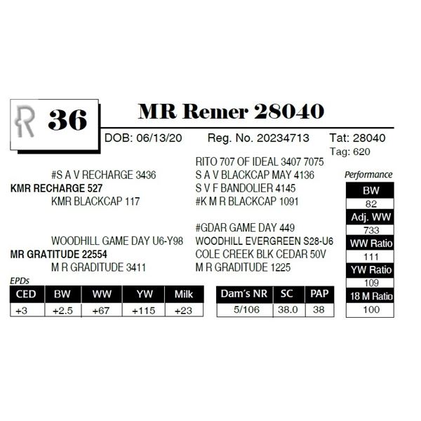 MR Remer 28040