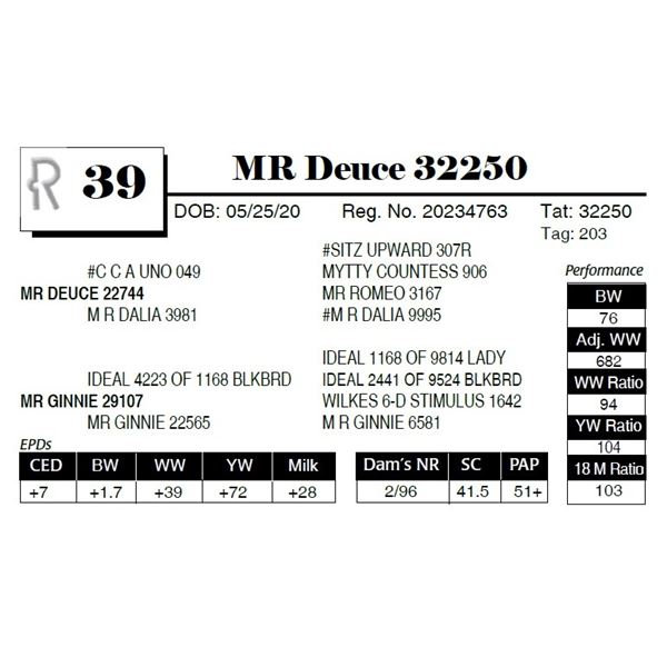 MR Deuce 32250