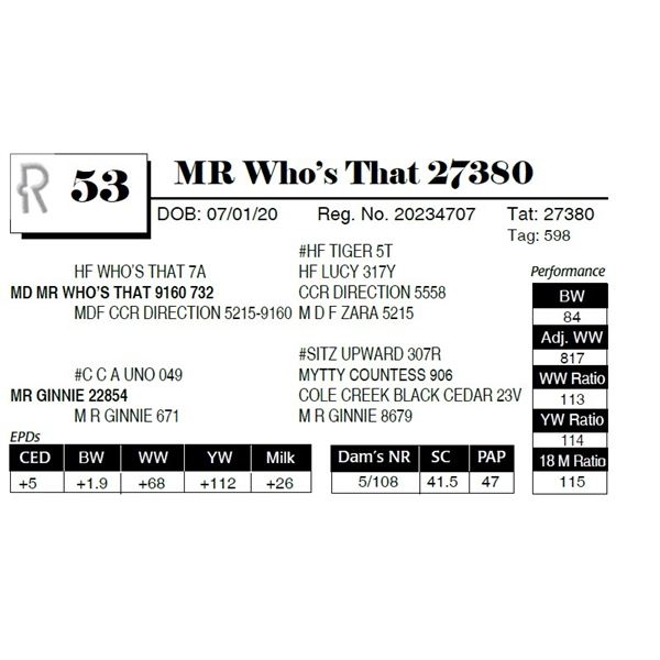 MR Who's That 27380