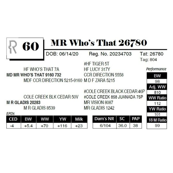 MR Who's That 26780