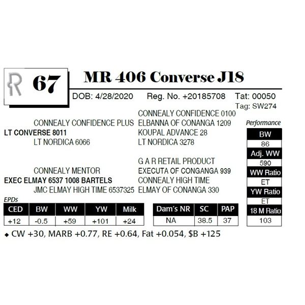MR 406 Converse J18
