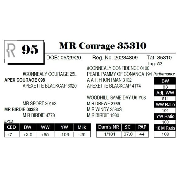 MR Courage 35310