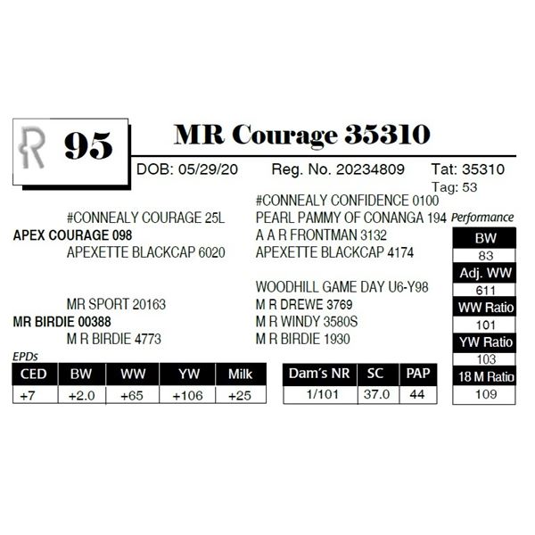 MR Courage 35310