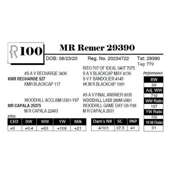 OUT OF SALE - MR Remer 29390