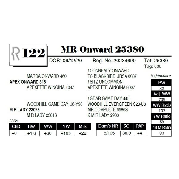 MR Onward 25380
