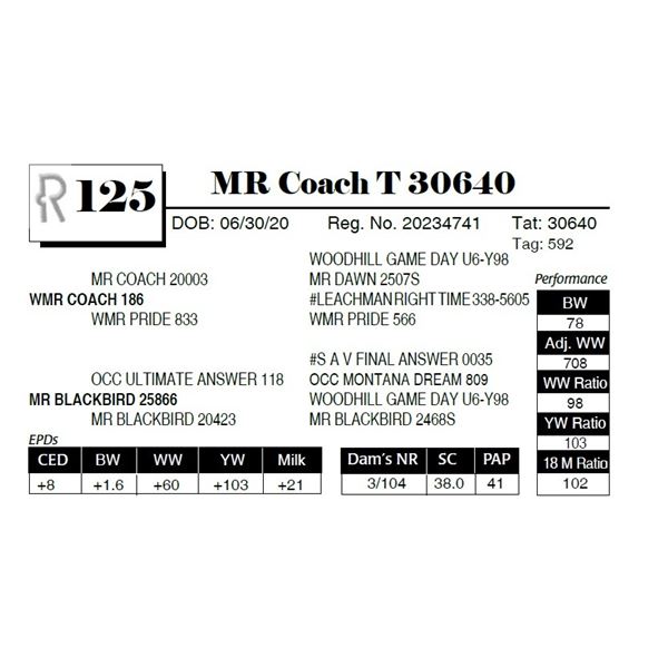 MR Coach T 30640