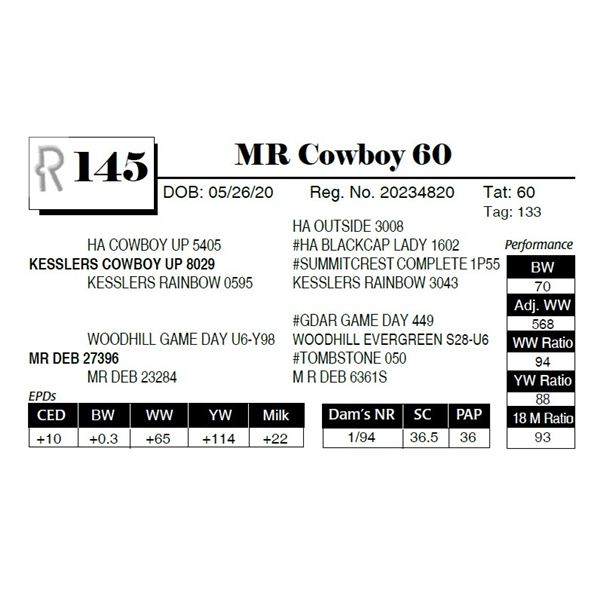 MR Cowboy 60