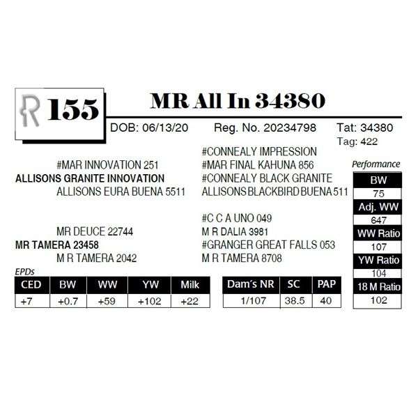 MR All In 34380