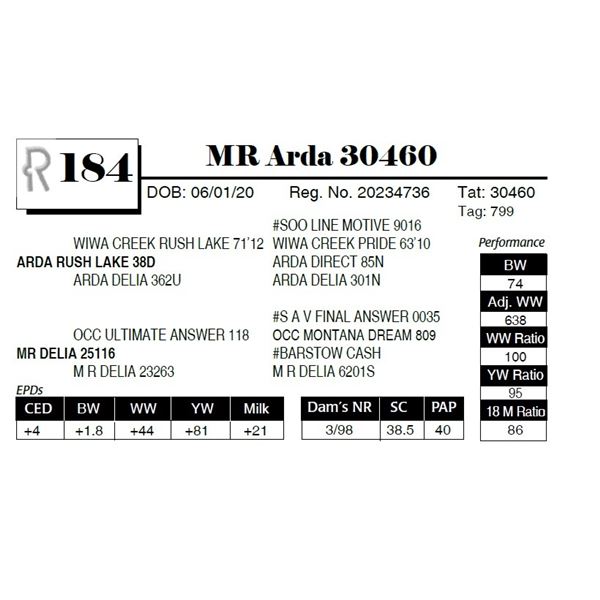 MR Arda 30460