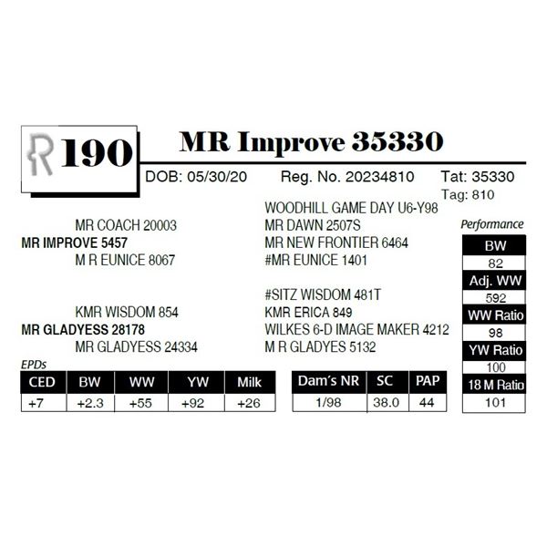 MR Improve 35330