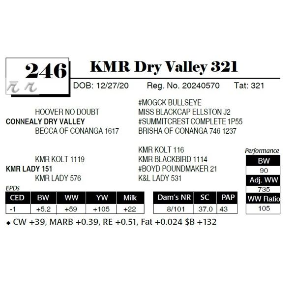 KMR Dry Valley 321