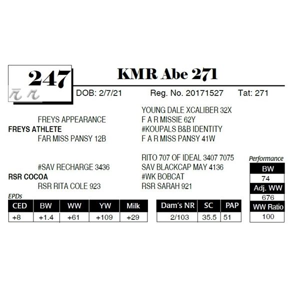 KMR Abe 271