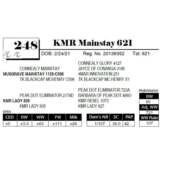 KMR Mainstay 621