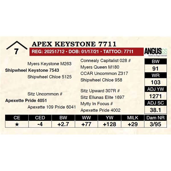 Apex Keystone 7711
