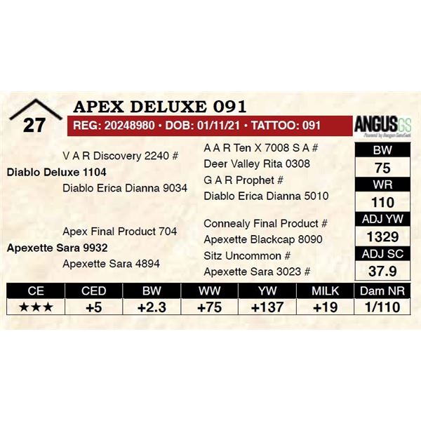 Apex Deluxe 091