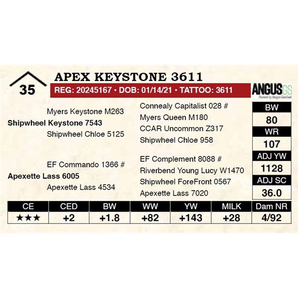 Apex Keystone 3611