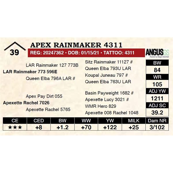 Apex Rainmaker 4311