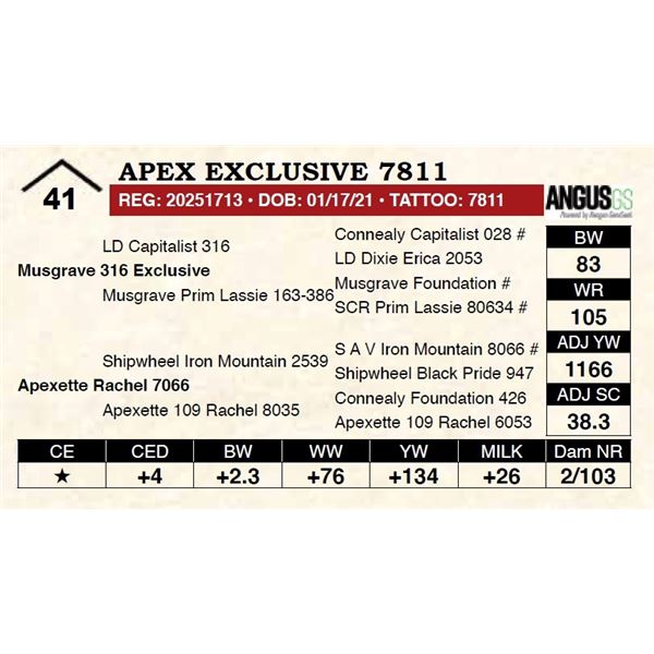 Apex Exclusive 7811