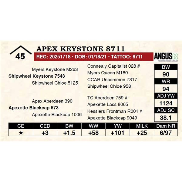 Apex Keystone 8711