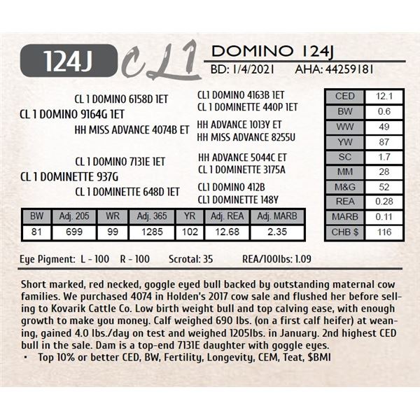 CL 1 DOMINO 124J