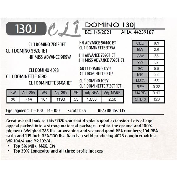 CL 1 DOMINO 130J